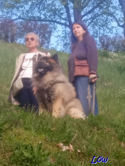 19.4.2025 - Tante, Dwix und Claudia haben den Weitblick